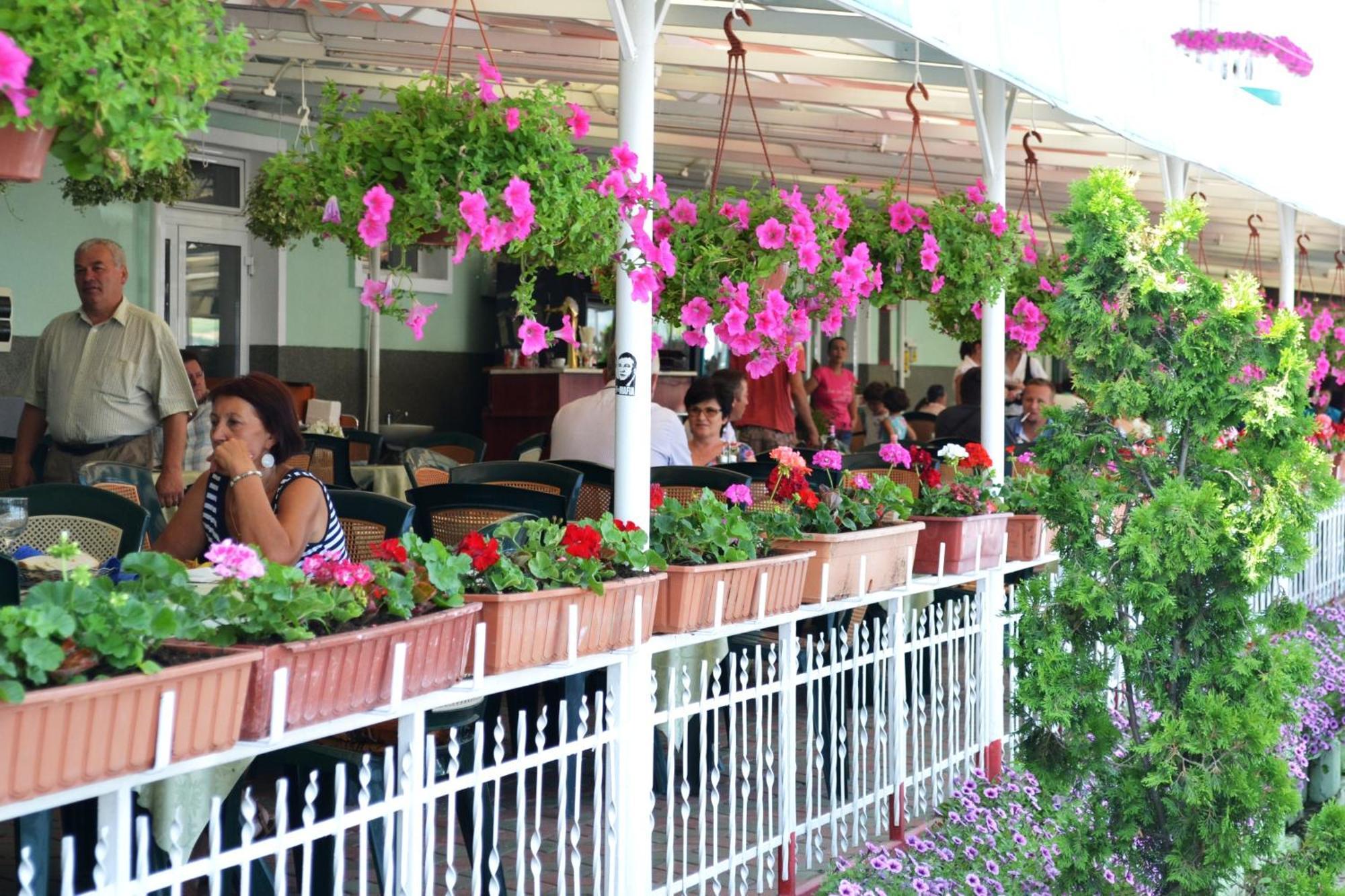 Motel Darina Ungheni  Dış mekan fotoğraf